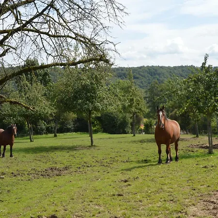 Farm With Sauna, Σπίτι διακοπών Teuven