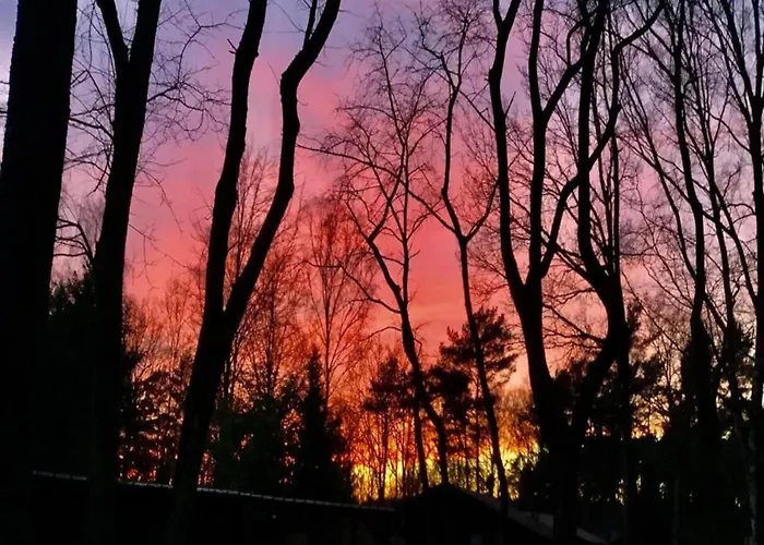 Farm With Sauna, Teuven