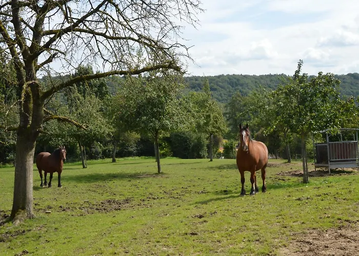 Farm With Sauna, بيت للعطل Teuven